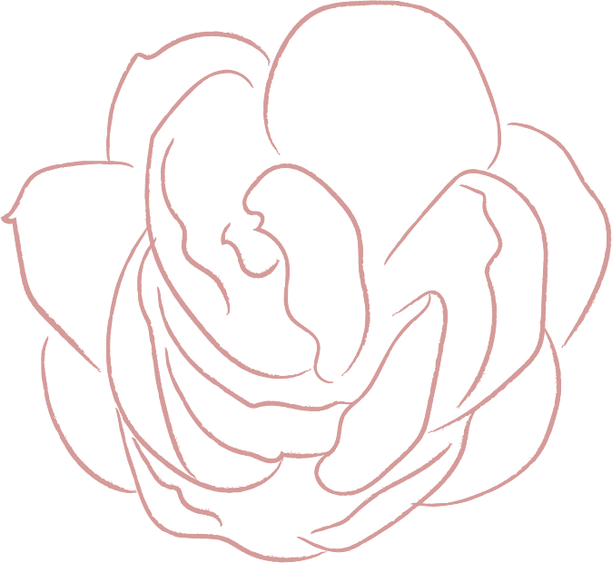 elements line drawing white jasmine flower illustrations FF57E82 2020 06 29 2